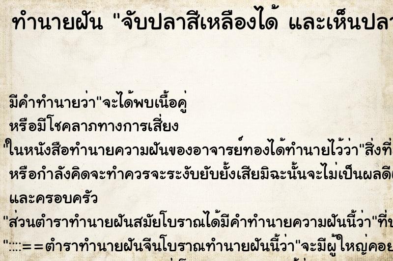 ทำนายฝันทำนายฝันจับปลาสีเหลืองได้และเห็นปลาสวยงาม